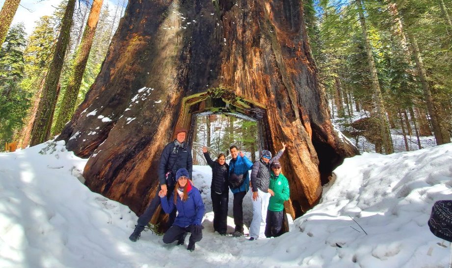 must-see-places-in-Yosemite-national-park attractions